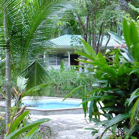 Hickatee Cottages, Belize, Central America 푼타 고르다 외부 사진