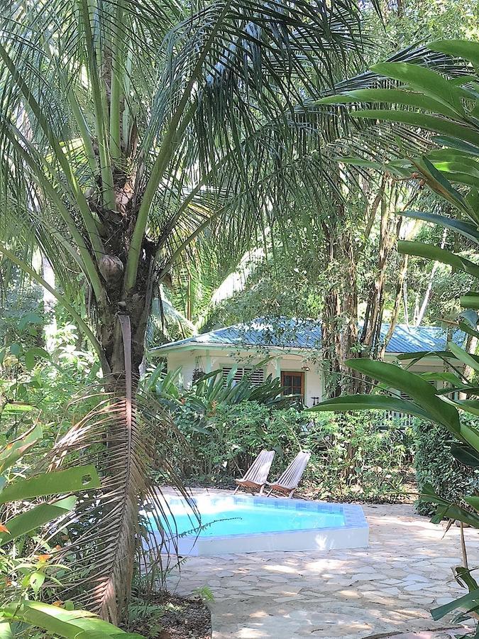 Hickatee Cottages, Belize, Central America 푼타 고르다 외부 사진