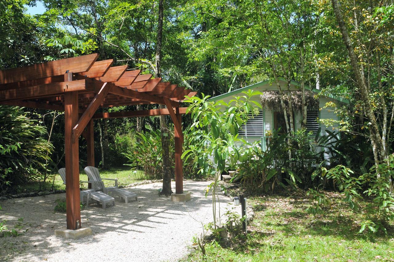 Hickatee Cottages, Belize, Central America 푼타 고르다 외부 사진