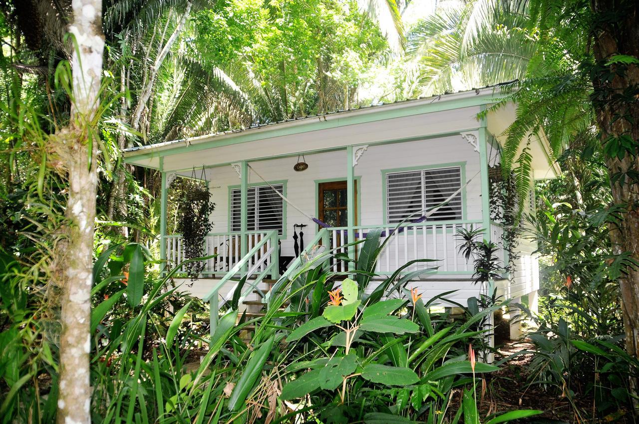 Hickatee Cottages, Belize, Central America 푼타 고르다 외부 사진