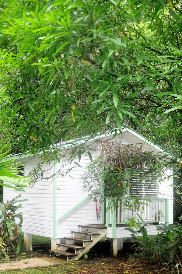 Hickatee Cottages, Belize, Central America 푼타 고르다 외부 사진
