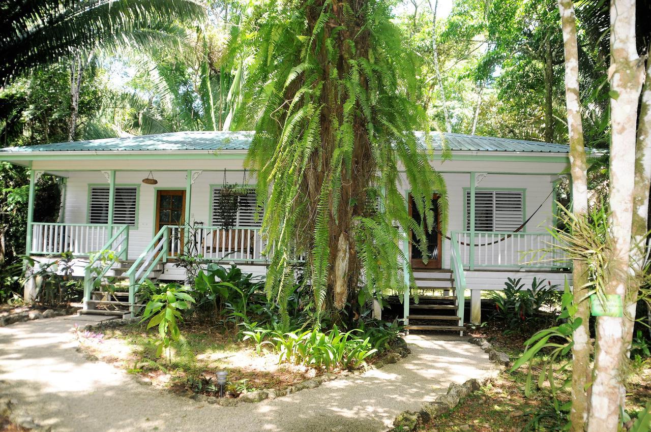 Hickatee Cottages, Belize, Central America 푼타 고르다 외부 사진