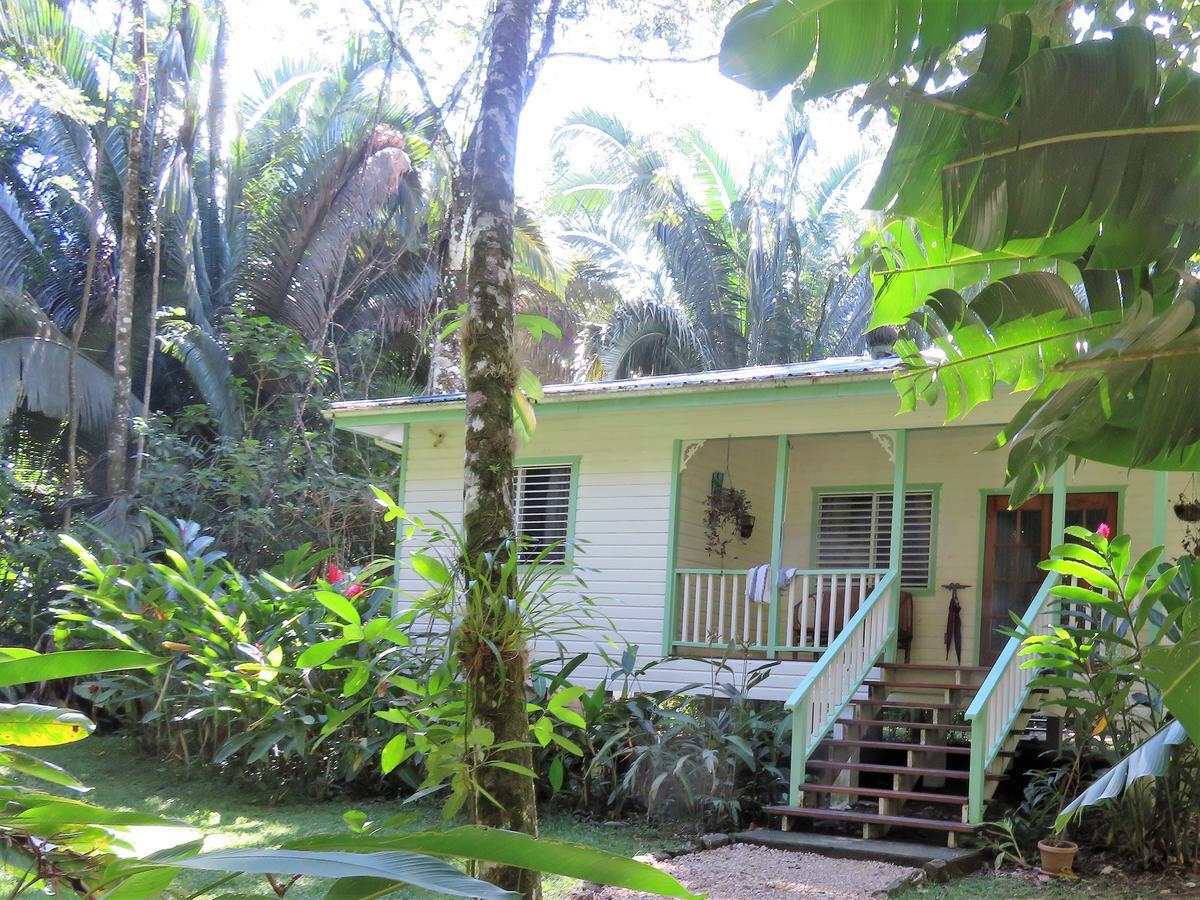 Hickatee Cottages, Belize, Central America 푼타 고르다 외부 사진
